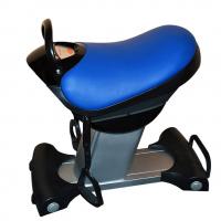 Тренажер-райдер наездник для иппотерапии S-Rider Sky 007